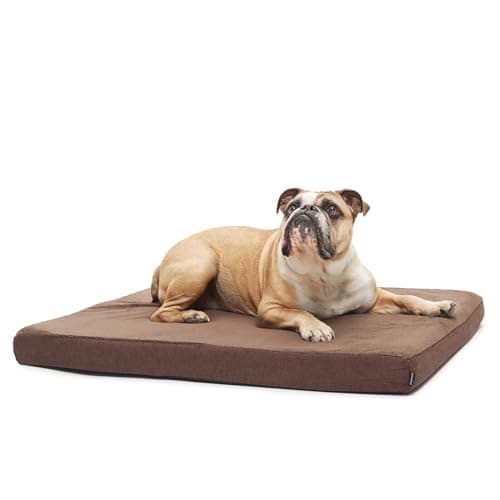 BarkBox Memory Foam Bolster Bed