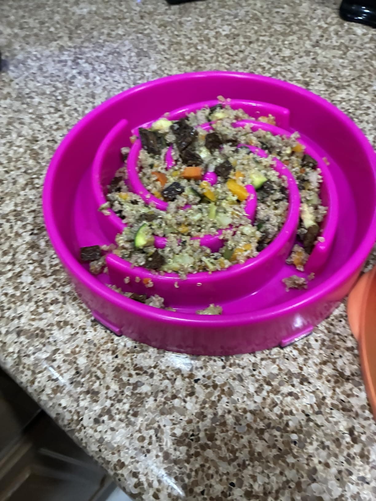 JASGOOD Slow Feeder Dog Bowl (Large/Medium, Anti-Gulping Maze) product image