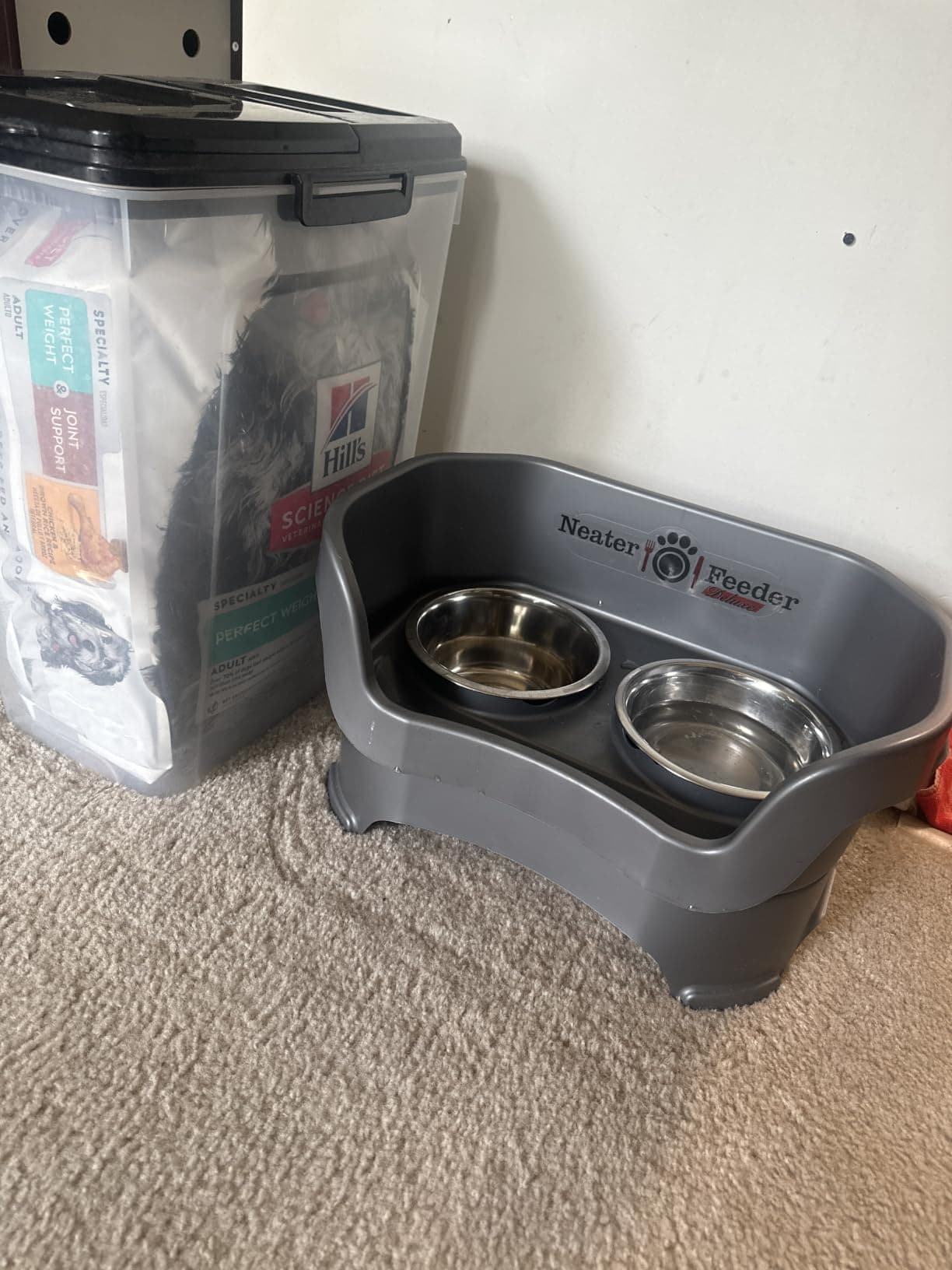 Neater Feeder Deluxe Mess Proof Elevated Dog Bowls (Medium, 19–40 lbs) product image