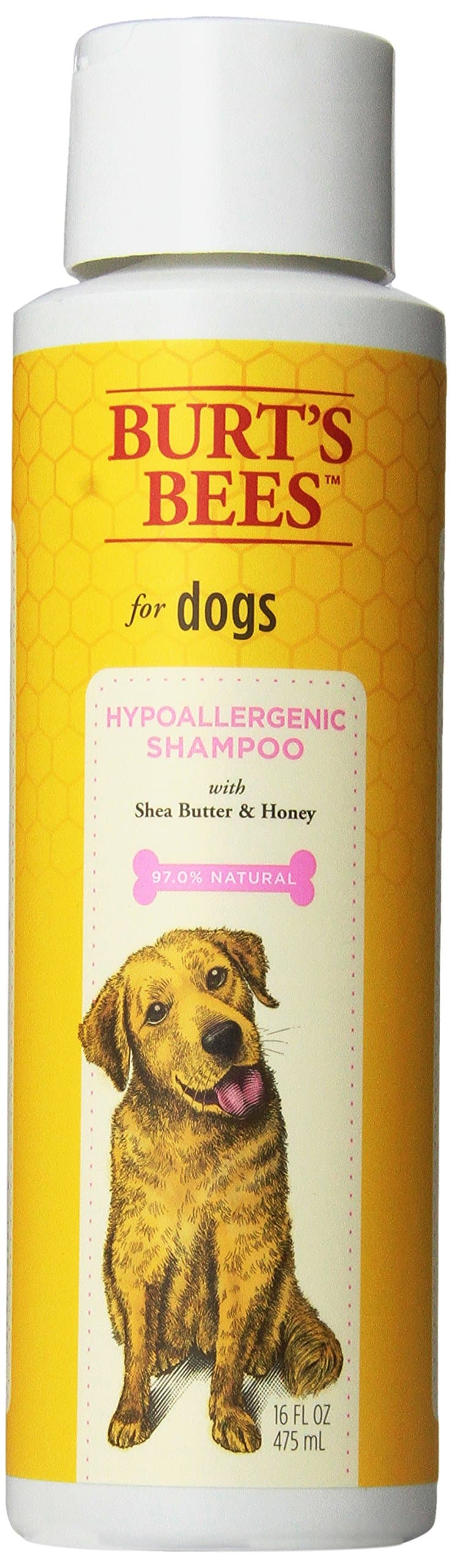 Burt's Bees for Pets Hypoallergenic Dog Shampoo (Shea Butter & Honey, 16 fl oz)