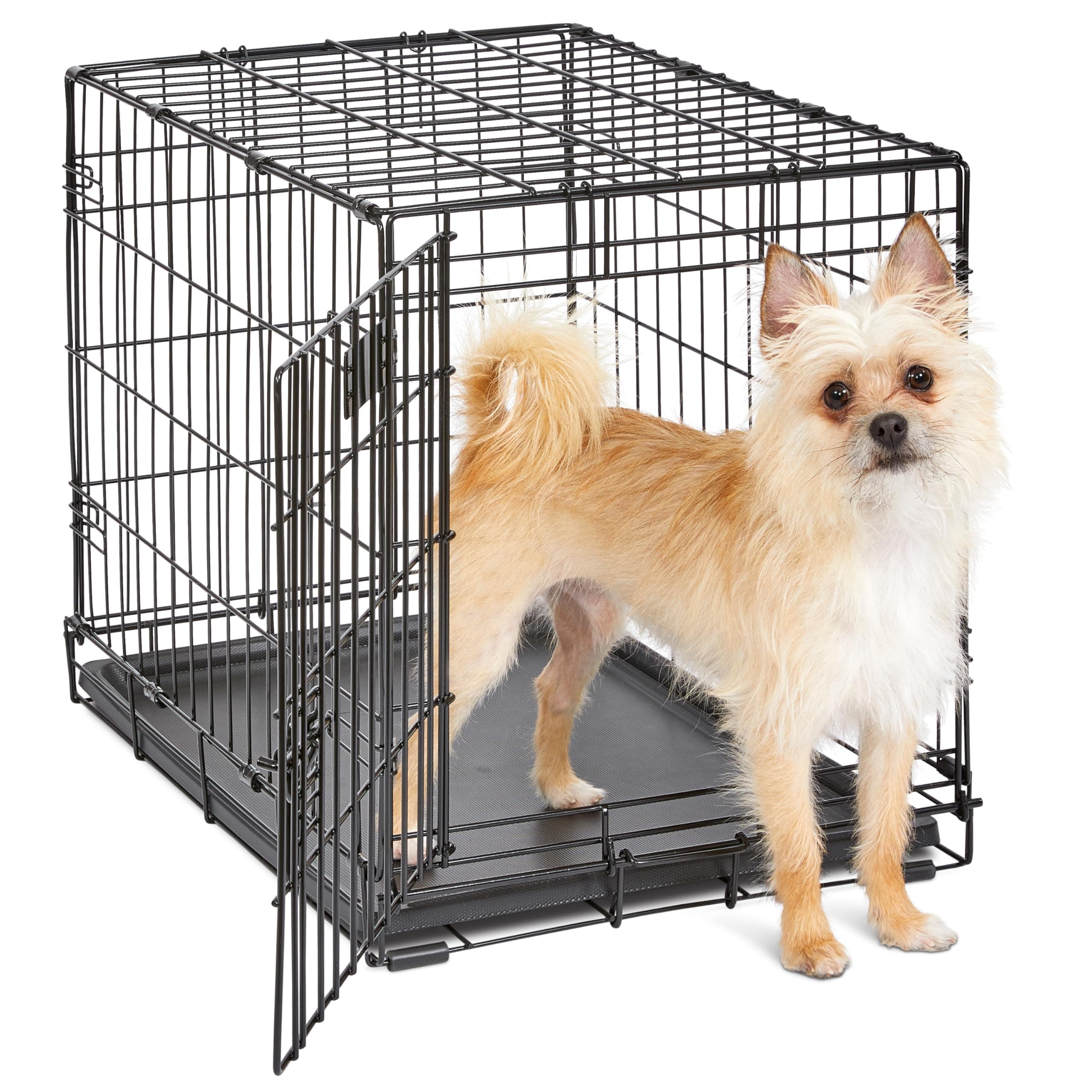 Midwest iCrate for Small Breeds